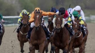 Horses running